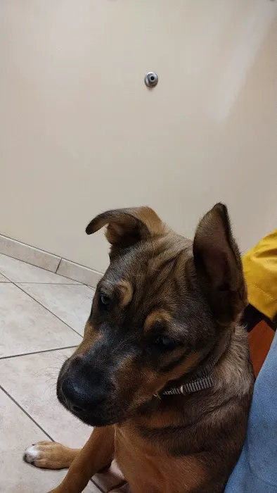 Animal Hospital of Oshkosh 5