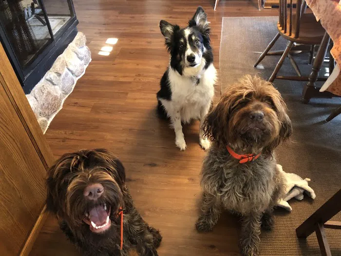 Animal Hospital of Oshkosh 8
