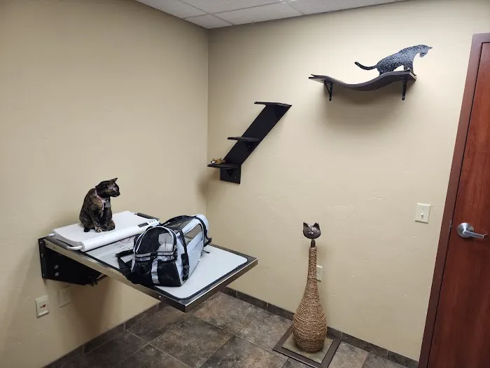 Healthy Paws Veterinary Clinic 2