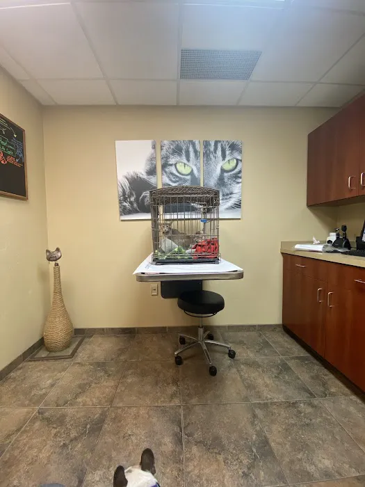 Healthy Paws Veterinary Clinic 5