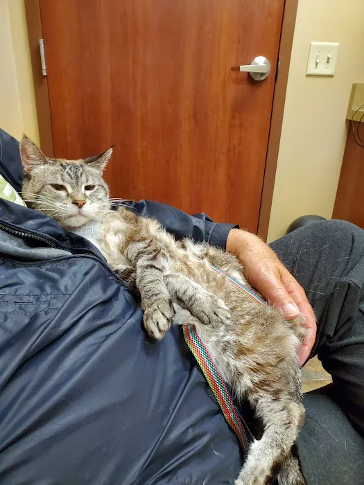 Healthy Paws Veterinary Clinic 8