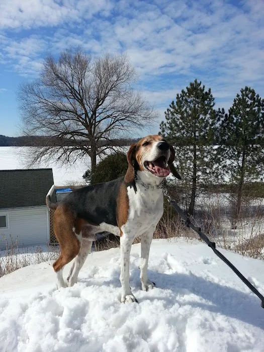 Healthy Paws of Sheboygan 9