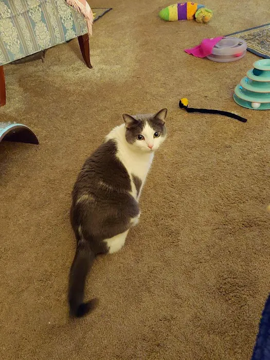 Healthy Paws of Sheboygan 1