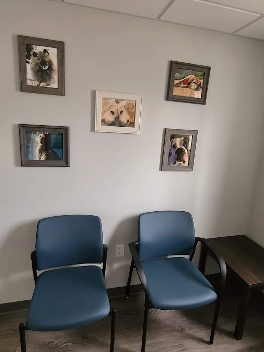 Healthy Paws of Sheboygan 7