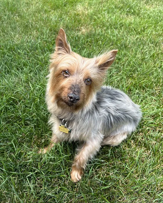 Sheboygan Animal Hospital 12