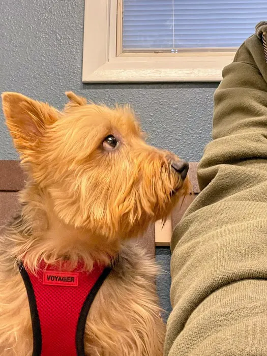Sheboygan Animal Hospital 12