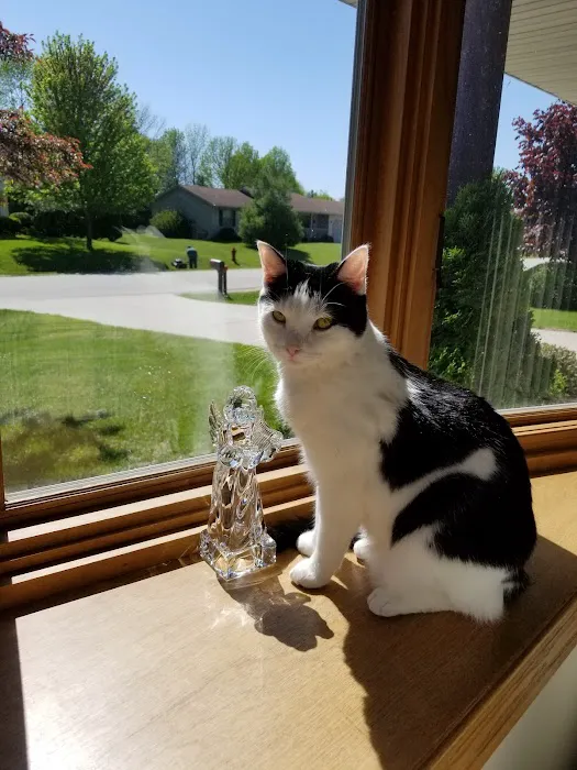 Sheboygan Animal Hospital 12