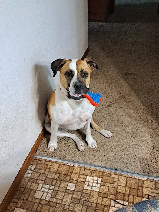 Sheboygan Animal Hospital 12