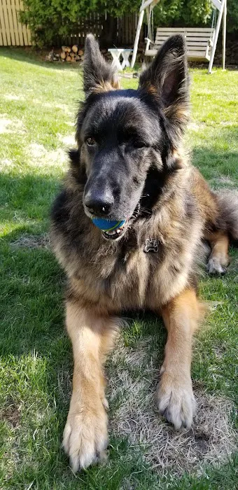 Sheboygan Animal Hospital 12
