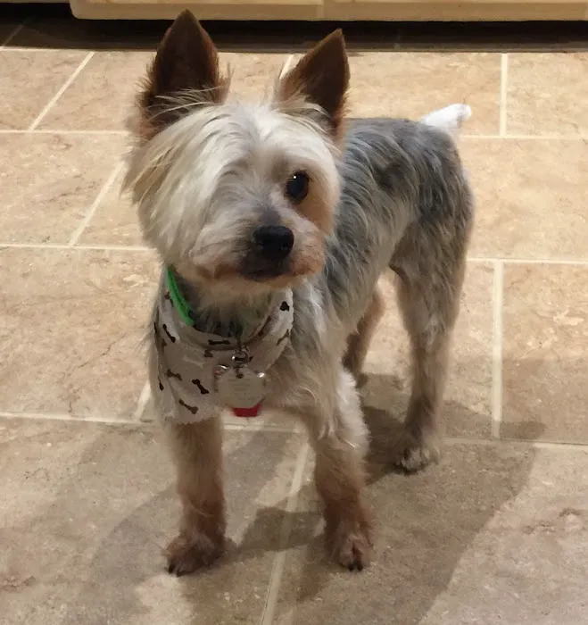 Sheboygan Animal Hospital 12