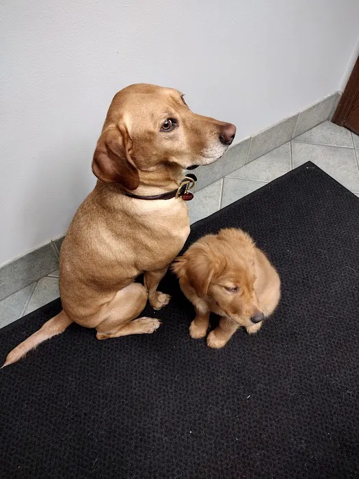 Omro Animal Hospital 4