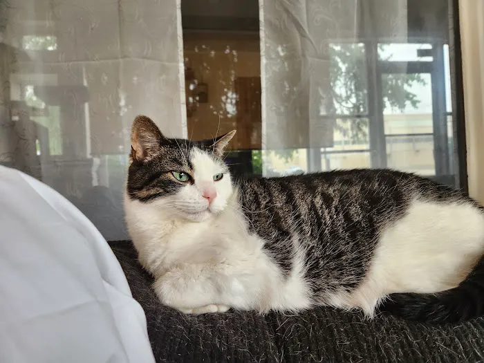 Omro Animal Hospital 6