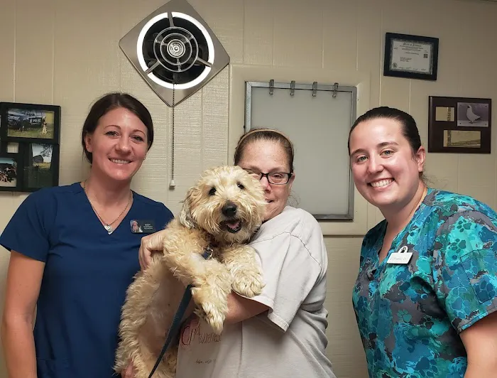 Tri-County Veterinary Services LLC 3