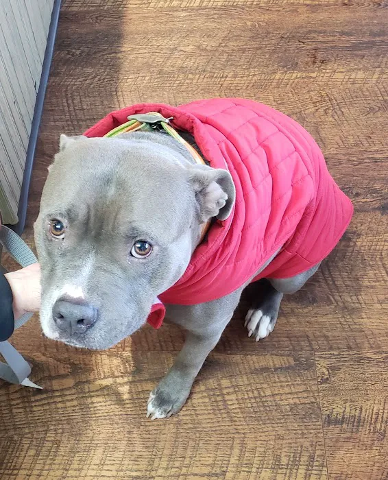 Tri-County Veterinary Services LLC 10