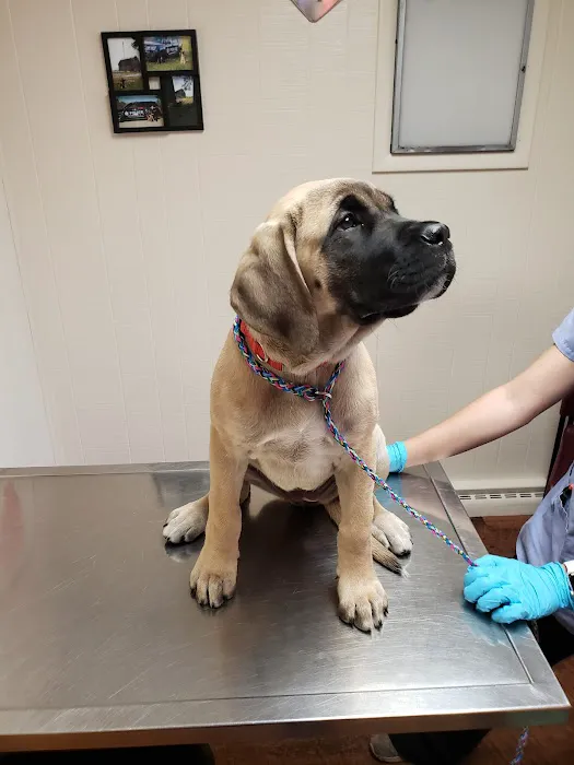Tri-County Veterinary Services LLC 6