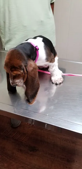 Tri-County Veterinary Services LLC 9