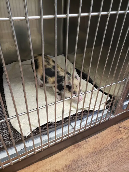 Tri-County Veterinary Services LLC 1