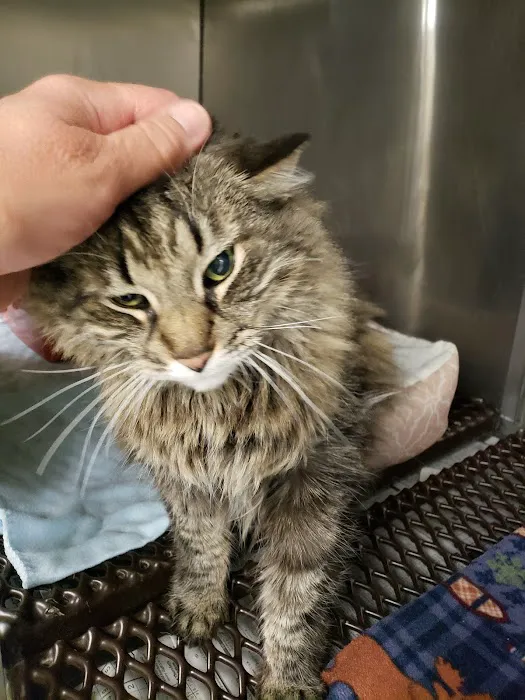 Tri-County Veterinary Services LLC 2