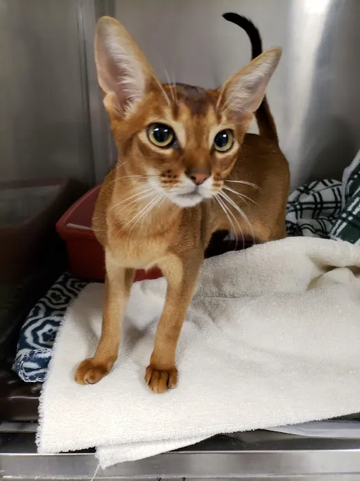 Tri-County Veterinary Services LLC 7