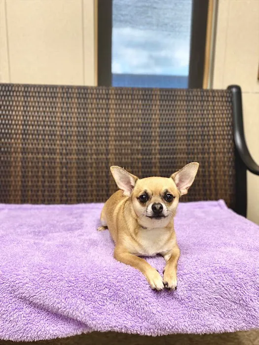 Progress Park Veterinary Hospital 6