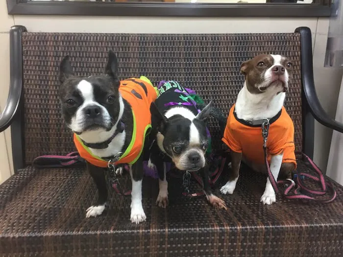Progress Park Veterinary Hospital 1