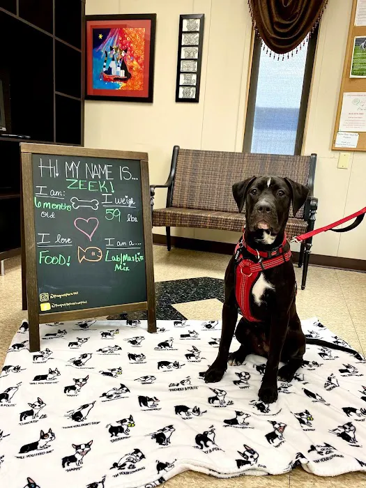 Progress Park Veterinary Hospital 8