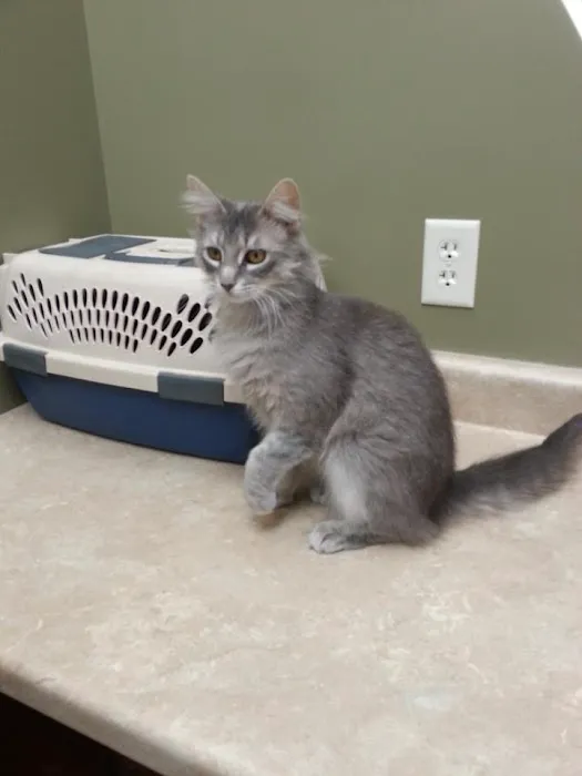Ancare Veterinary Hospital 8