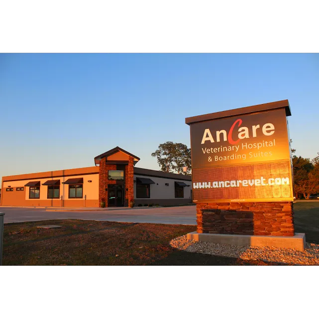 Ancare Veterinary Hospital 9