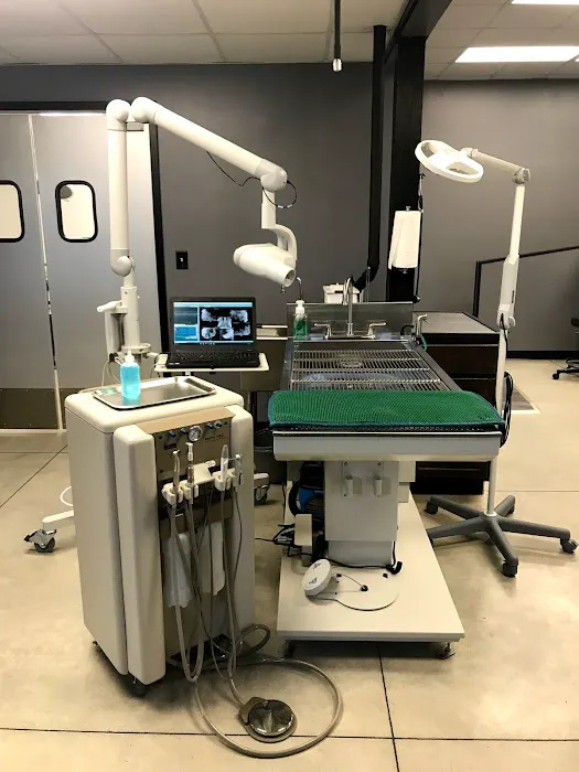 Bridgeview Veterinary Hospital 10