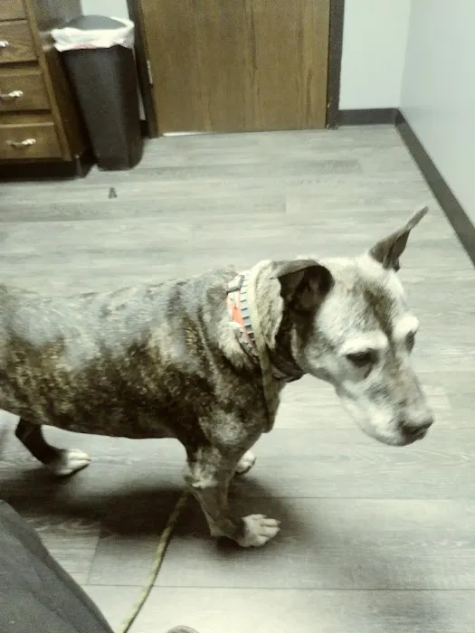 Bridgeview Veterinary Hospital 4