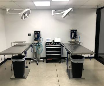 Bridgeview Veterinary Hospital