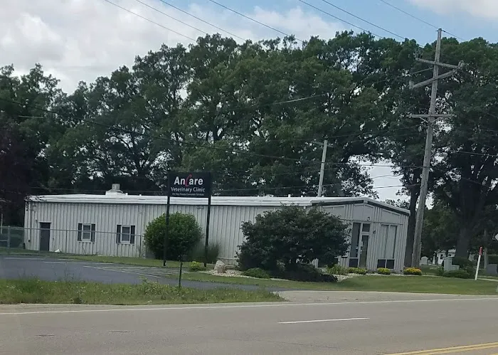 Ancare Veterinary Clinic - Spring Valley 2