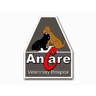 Ancare Veterinary Clinic - Spring Valley 1