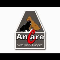Ancare Veterinary Clinic - Spring Valley ico