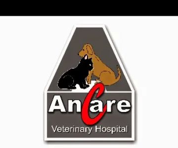 Ancare Veterinary Clinic - Spring Valley