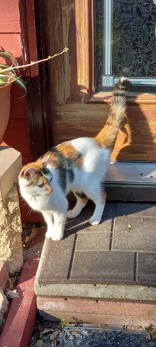 Animal Care Clinic 2