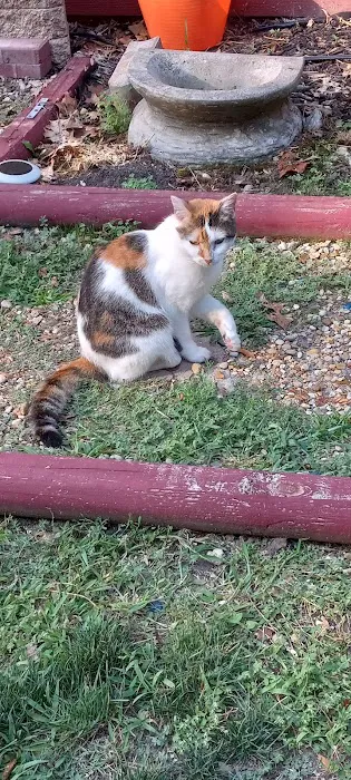 Animal Care Clinic 6