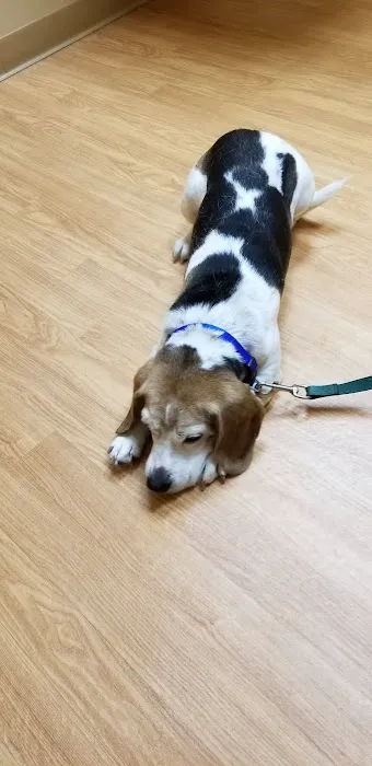 Bureau Valley Veterinary Service 8