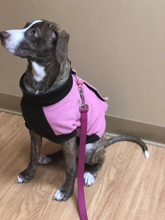 Bureau Valley Veterinary Service 5