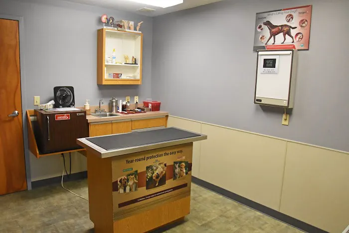Ambassador Animal Hospital 12