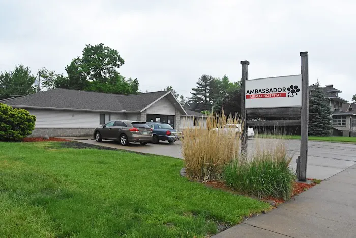 Ambassador Animal Hospital 12