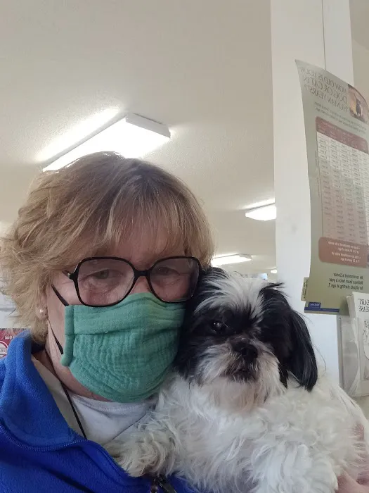 All Pets Mobile Clinic 12