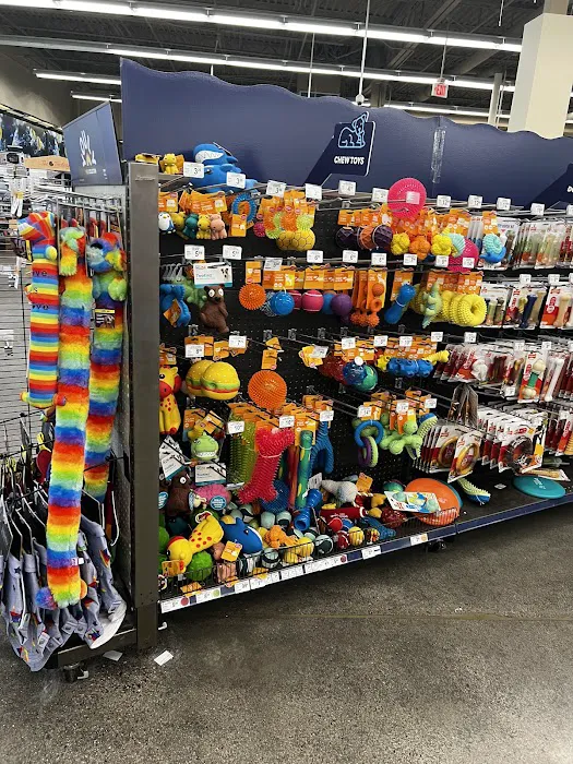 Petco 7