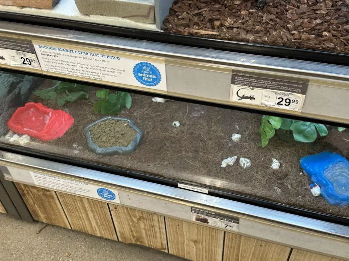 Petco 8