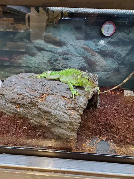 Petco 6