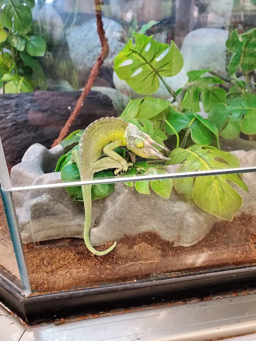 Petco 4
