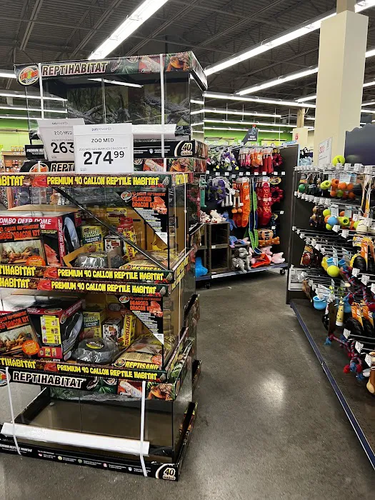 Petco 10