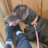 Clinton Veterinary Clinic Iowa: Drs. Eslick, Kemmerer, & Aman ico