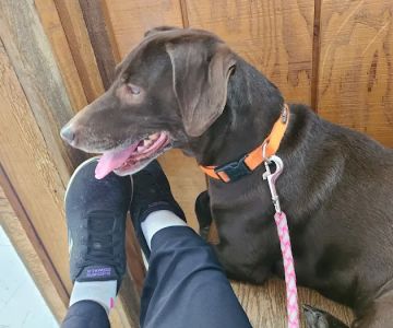 Clinton Veterinary Clinic Iowa: Drs. Eslick, Kemmerer, & Aman