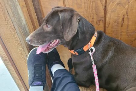 Clinton Veterinary Clinic Iowa: Drs. Eslick, Kemmerer, & Aman